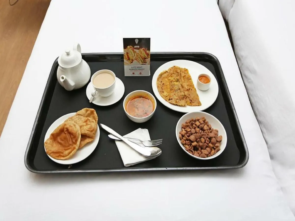 Oyo 6096 Hotel Maharani Palace New Delhi