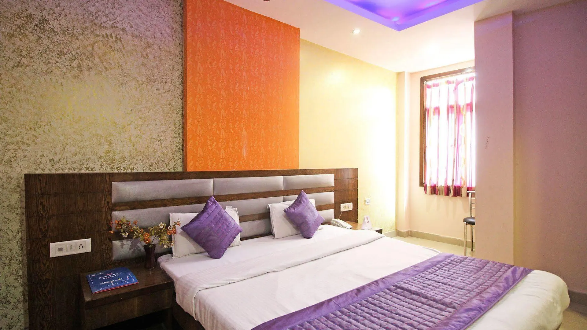 Oyo 6096 Hotel Maharani Palace New Delhi
